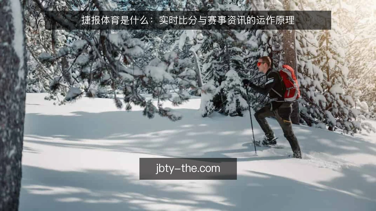 捷报体育是什么:实时比分与赛事资讯的运作原理